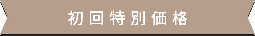 初回特別価格